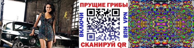 закладка Ханты-Мансийск Галлюциногенные грибы Psilocybe